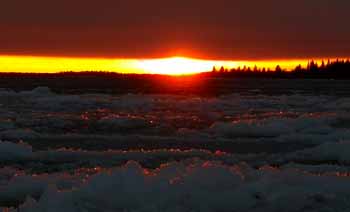 Solnedgång över isflak
